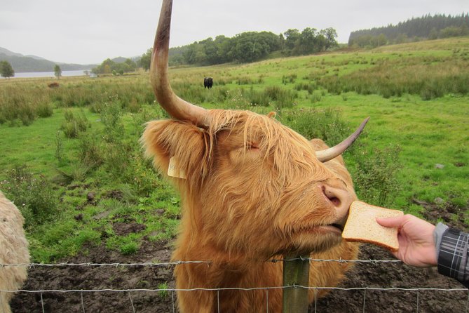 1 Day Tour from Inverness - Isle of Skye, Fairy Pools, and Eilean Donan Castle - The Loch Ness monster myth, told in 10 minutes