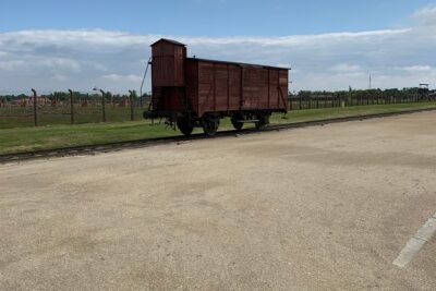 1 Day Trip Auschwitz-Birkenau Memorial and Museum Guided Tour from Krakow - Krakow Pickup at Hotel Door Level (Not the Train-Station Shuffle)