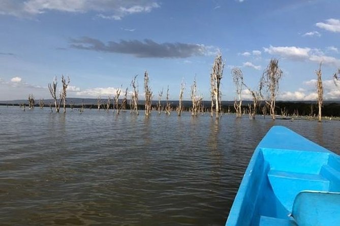 1 Day trip to Hells Gate and Lake Naivasha From Nairobi - Lake Naivasha add-on: hippos at the surface and birds that steal attention