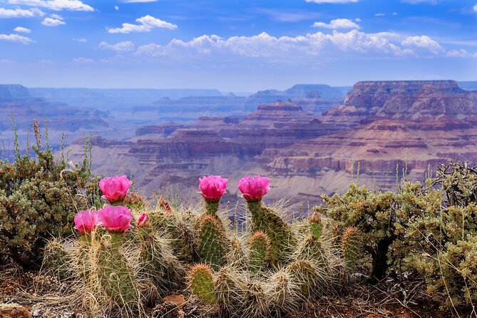 3-Day Grand Canyon, Antelope, Bryce & Zion Tour from Vegas - Transportation comfort and Wi-Fi rules: air-conditioning is the real luxury