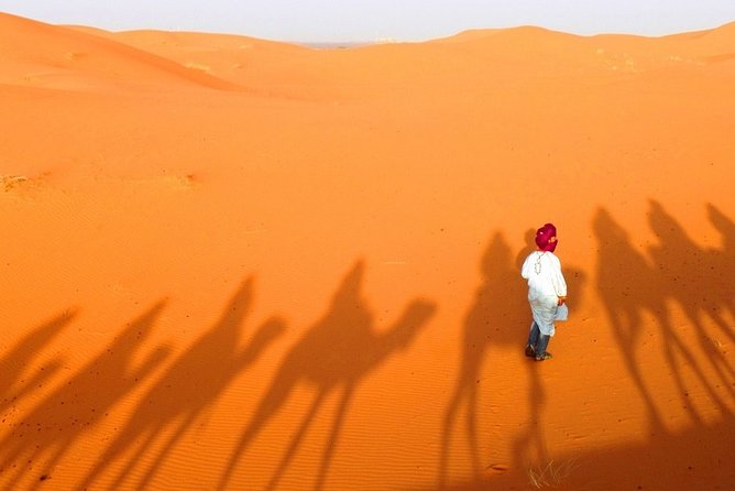 3-Day Tour from Marrakech to Merzouga Luxury Camp with Camel - Valley of Roses and the Dades Gorge: the scenery shifts hard