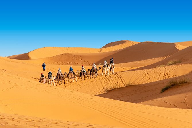 3 Day Tour from Marrakech to Merzouga with Camel Ride Included - Boumalne Dades Hotel Night: The Rest Stop That Makes the Desert Better