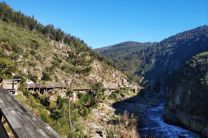 516 Arouca Bridge & Paiva Walkways Tour with Lunch from Porto - The 516 Arouca suspension bridge at 175m: thrilling, but manageable