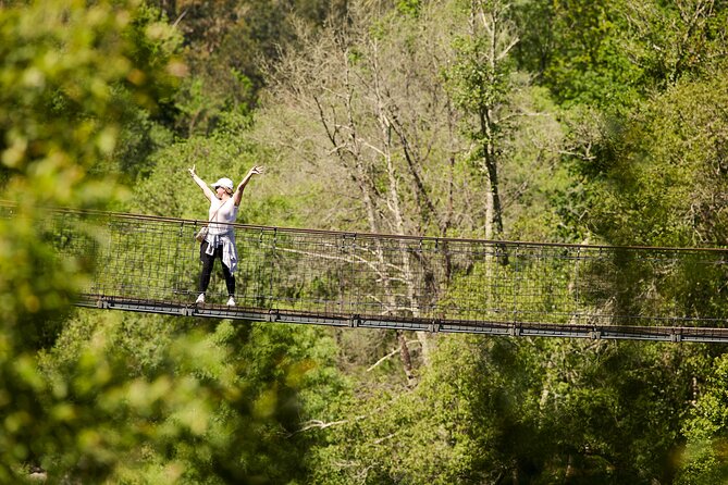 516 Arouca Bridge & Paiva Walkways Tour with Lunch from Porto - Lunch in Alvarenga: the value isn’t just food, it’s timing