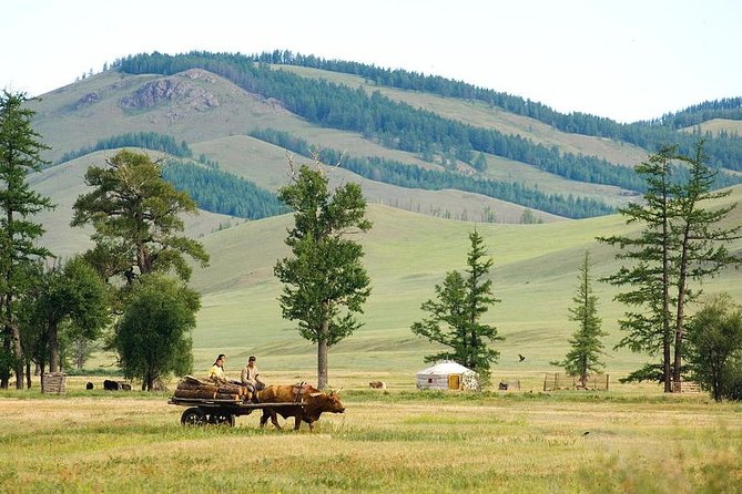 A day trip to Terelj National Park and Statue of Chinggis Khan - Terelj National Park in a 2-Hour Window: Turtle Rock and Open Air