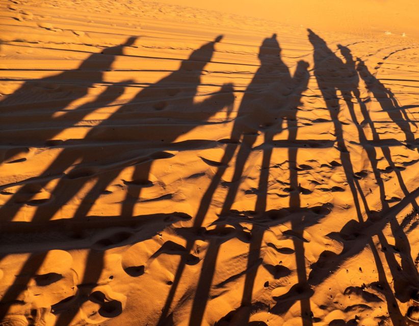 Agadir/Taghazout/Port: Sahara Desert 4x4 Day Trip with Lunch - Key highlights to expect on this Agadir desert day trip