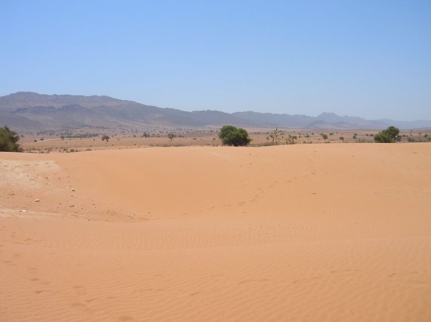 Agadir/Taghazout/Port: Sahara Desert 4x4 Day Trip with Lunch - What you actually get for around $49: value math that adds up