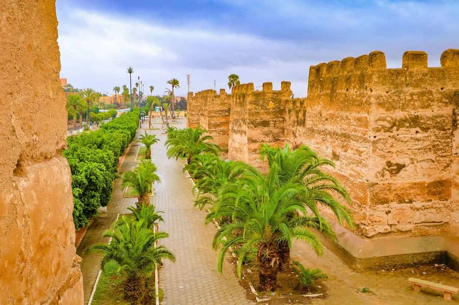 Agadir: Taroudant Oasis and Tiout Day Trip with Lunch Option - Souk shopping tips: bargaining without getting worn out