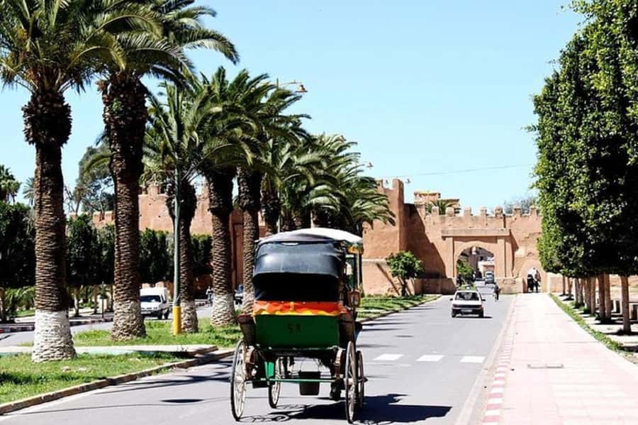 Agadir: Taroudant Oasis and Tiout Day Trip with Lunch Option - Palm-tree strolls and optional donkey rides around the Kasbah