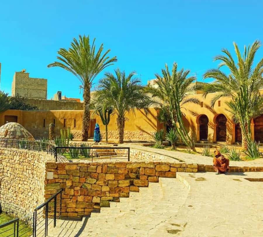 Agadir: Taroudant Oasis and Tiout Day Trip with Lunch Option - Price and value: what $51 buys on a full day away