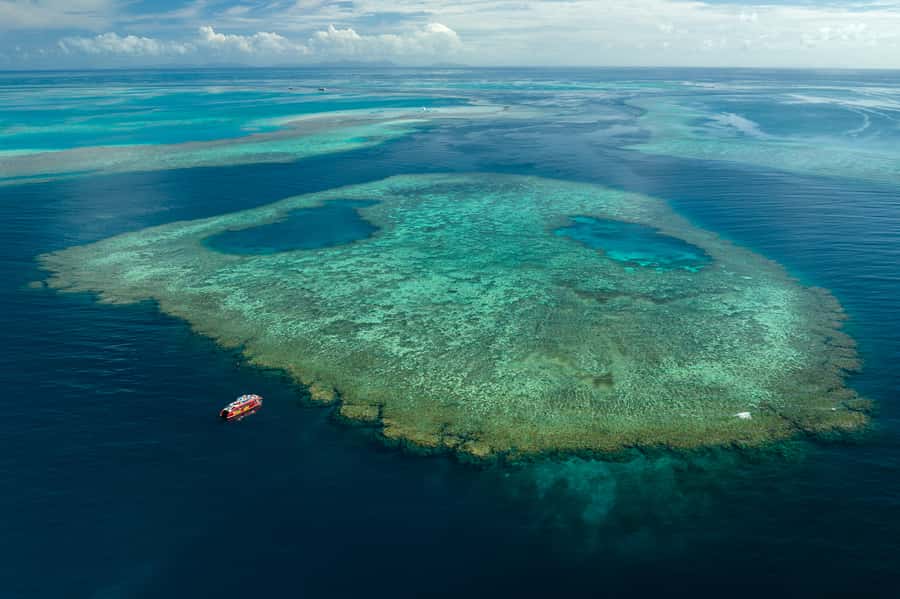 Airlie Beach: Outer Great Barrier Reef Snorkeling Day Trip - Safety and Gear: The Stuff You Don’t Want to Guess About