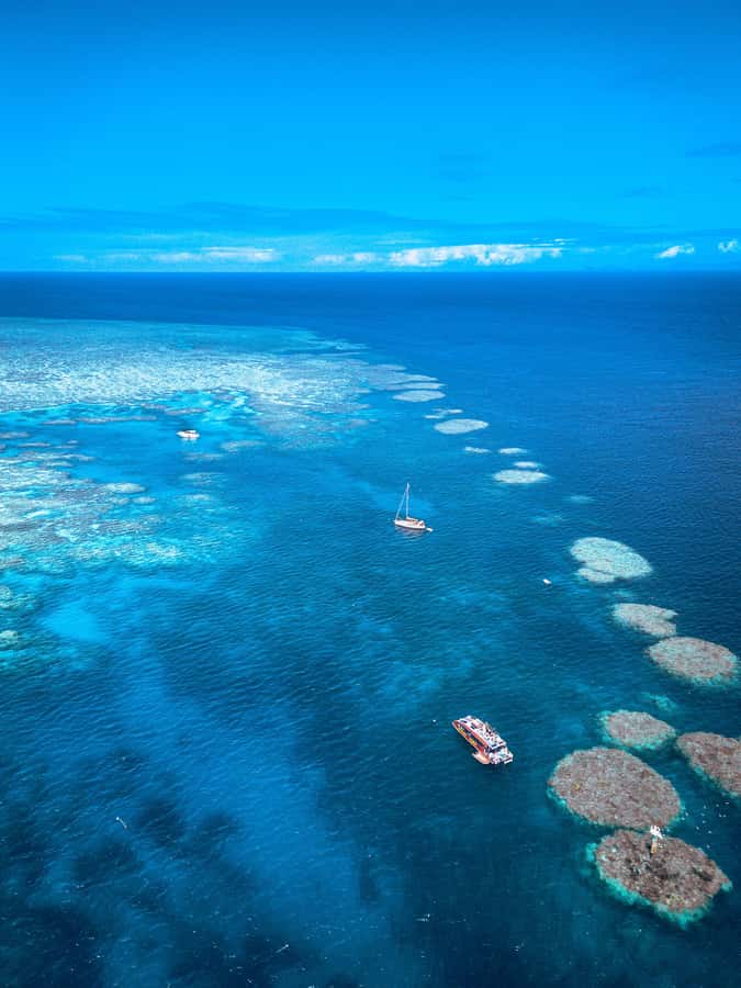 Airlie Beach: Outer Great Barrier Reef Snorkeling Day Trip - Who This Trip Suits Best (And Who Should Skip It)