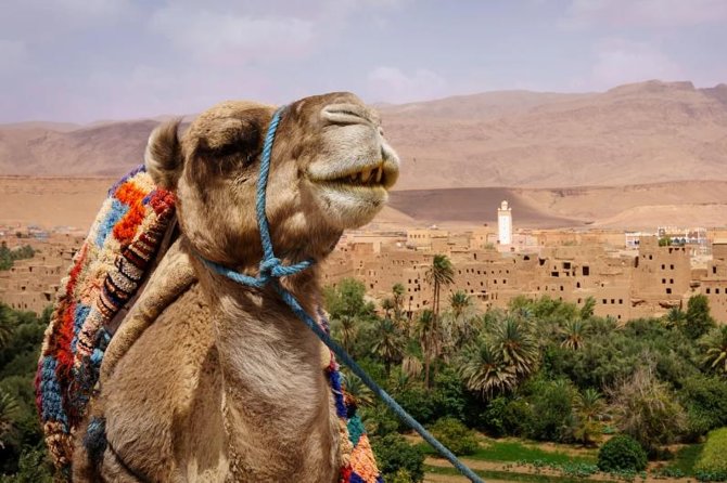 Ait ben haddou and Ouarzazate day trip - Comfort on the Road: Air-Conditioned Doesn’t Mean Zero Bumps