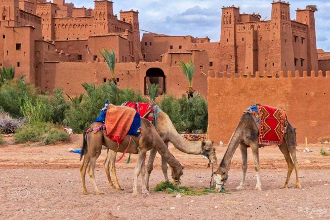 Ait ben haddou and Ouarzazate day trip - The Tizi nTichka Pass Stop: Photos at 2260m (and the part you’ll remember)