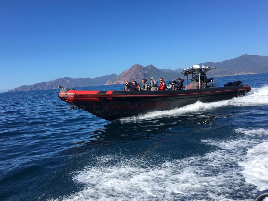 Ajaccio/Porticcio: Scandola & Piana Semi-Rigid Boat Day Trip - Key highlights to focus on