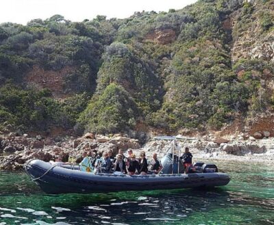 Ajaccio/Porticcio: Scandola & Piana Semi-Rigid Boat Day Trip - Scandola Nature Reserve: UNESCO cliffs up close