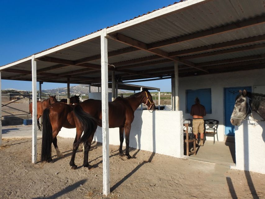 Akrotiri: Guided Horseback Riding Day Trip to a Beach - Price and Value: Is $88 Actually Worth It?