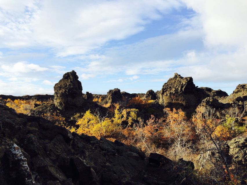 Akureyri Port: Lake Mývatn & Goðafoss Waterfall Day Trip - Price and value for a 7-hour Akureyri port day trip ($179)