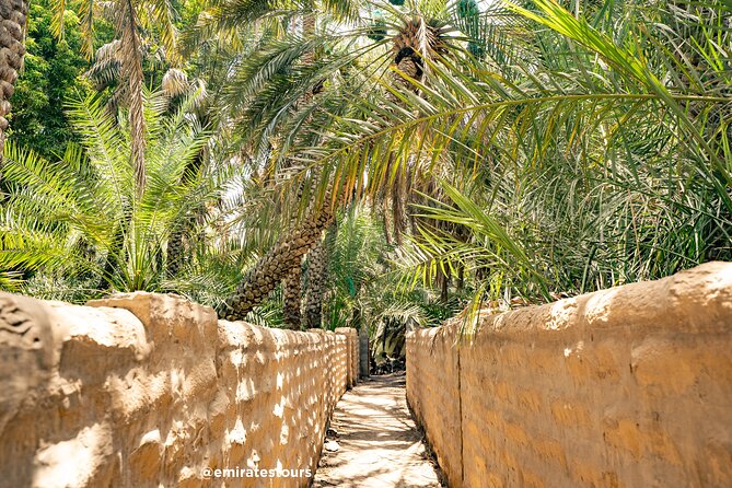 Al Ain Full Day Trip from Abu Dhabi with Lunch - Al Ain National Museum: where the story gets real