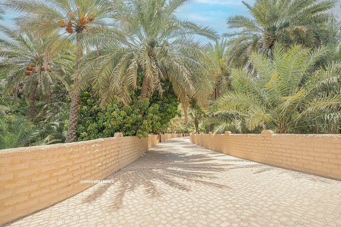 Al Ain Full Day Trip from Abu Dhabi with Lunch - The falaj water channels: the oasis trick you’ll never forget