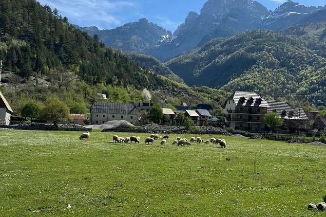 Albanian Alps and Theth Village Day Tour from Tirana - Guide quality and group size: why it feels smoother than other tours