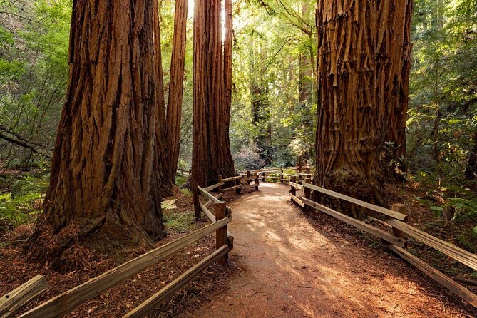 Alcatraz Tour Plus Muir Woods and Sausalito Day Trip - Union Square to the Golden Gate Bridge: You Start With Views
