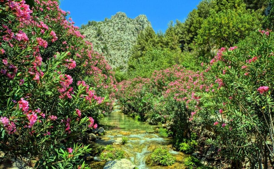 Algar Waterfalls Coach Trip - From Albir & Benidorm - Footwear, steps, and safety: the part that can make or break your day