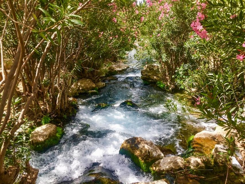 Algar Waterfalls Coach Trip - From Albir & Benidorm - The guides and what their job actually is