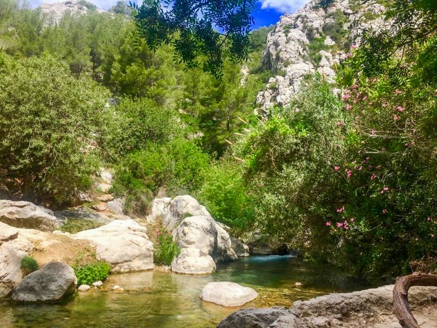 Algar Waterfalls Coach Trip - From Albir & Benidorm - Who should book this Algar waterfalls trip