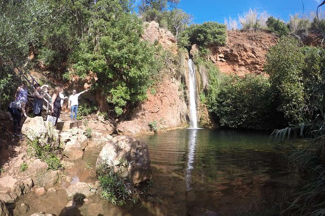 Algarve Safari - Full Day Tour from Albufeira w / lunch - Stop 1: Paderne Castle—ruins with a story and a payoff