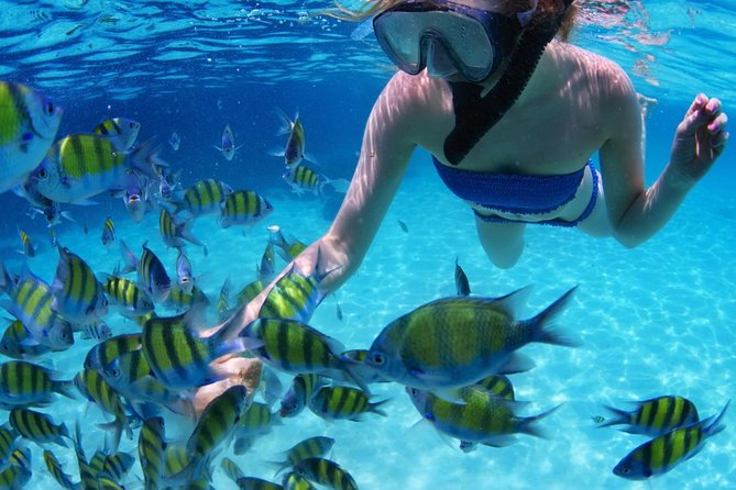 All-Inclusive San Blas Islands Day Tour from Panama City - The Big Picture: a Remote Day Trip That Starts Before Dawn
