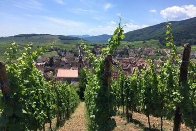 Alsace 4 Wonders Small-Group Day Trip from Colmar - Morning Logistics: Colmar Pickup, 9:00 Start, and a Comfortable Ride