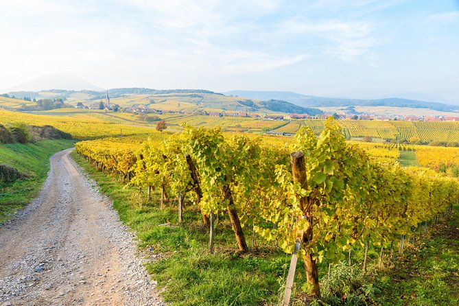 Alsace villages half day tour from Colmar - Alsace Wine Route photo stops: quick breaks with big payoff