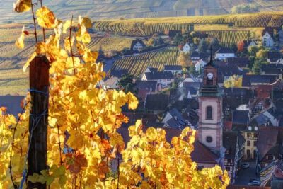 Alsace villages half day tour from Colmar - The small-group van ride: comfort, focus, and fewer headaches