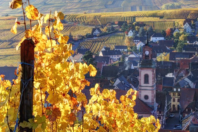 Alsace villages half day tour from Colmar - The small-group van ride: comfort, focus, and fewer headaches