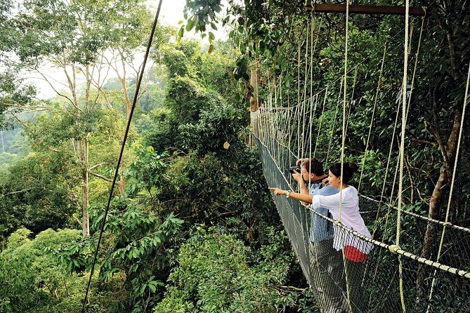 Amazing Taman Negara Day Trip from Kuala Lumpur Including Lunch - Getting to Taman Negara: why the long drive is part of the deal