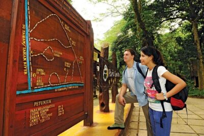 Amazing Taman Negara Day Trip from Kuala Lumpur Including Lunch - Canopy walkway: the world’s longest treetop view (and why closure matters)