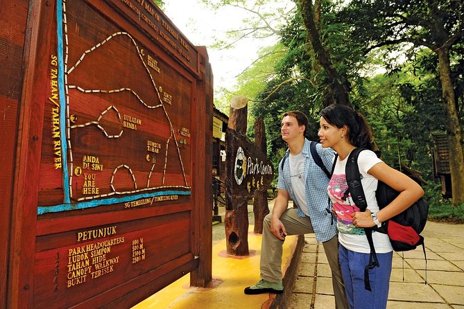 Amazing Taman Negara Day Trip from Kuala Lumpur Including Lunch - Canopy walkway: the world’s longest treetop view (and why closure matters)