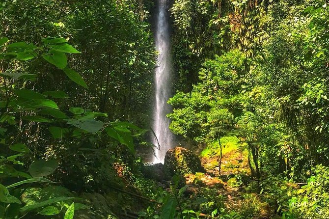 Amazon Tour in Ecuador: Puyo Day Trip from Baños - Logistics and value: why the $85 price tag makes sense