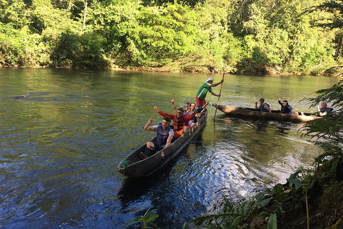 Amazon Tour in Ecuador: Puyo Day Trip from Baños - Animal rescue center: close encounters with ocelots, monkeys, and caimans