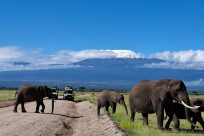 Amboseli Day Tour from Nairobi - Mount Kilimanjaro spotting: the big prize and the reality check
