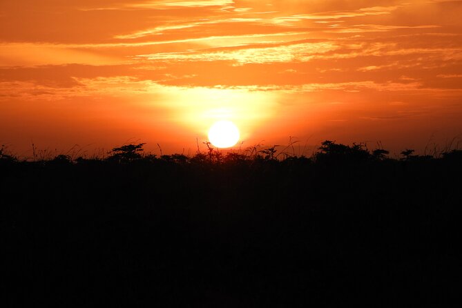 Amboseli Day Tour from Nairobi - Who should book this Amboseli day tour from Nairobi