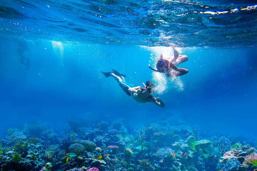 Amed: Tirta Gangga, Jemeluk Bay, & Virgin Beach Day Trip - Pickup, Timing, and the Reality of a Long Day