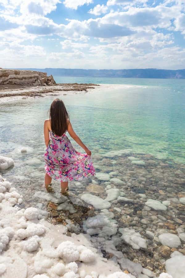 Amman: Day Trip to Madaba, Mt. Nebo, Baptism Site & Dead Sea - Price and value: what $74 buys in transport and access