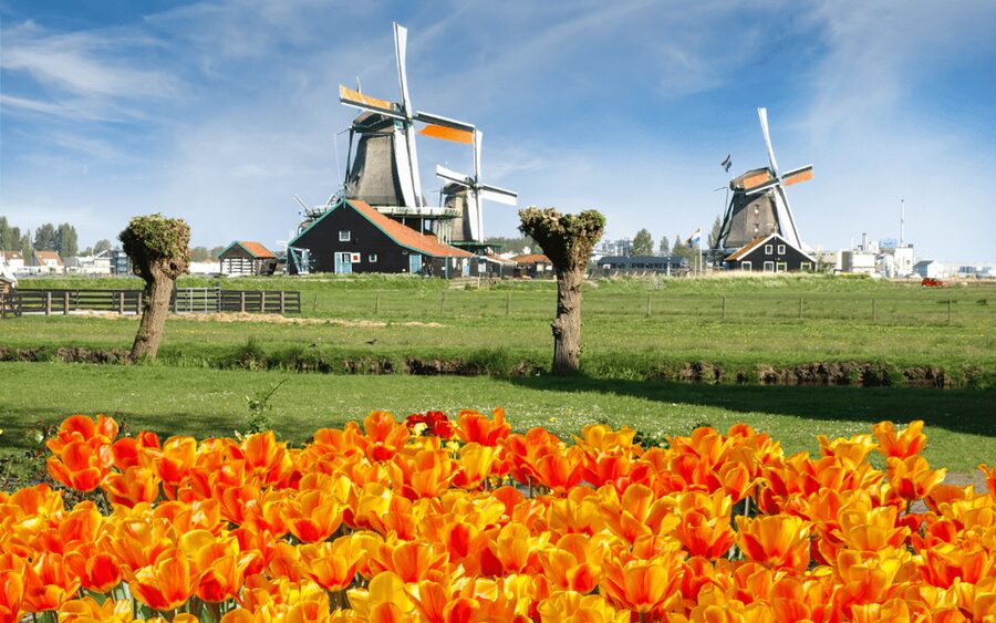 Amsterdam: Day Tour Keukenhof and Zaanse Schans Windmills - Key highlights you’ll feel right away
