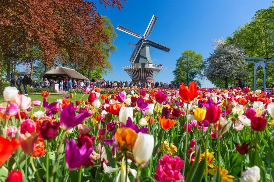 Amsterdam: Day Tour Keukenhof and Zaanse Schans Windmills - Clog Making and Cheese Tasting: The Included Stops You’ll Remember