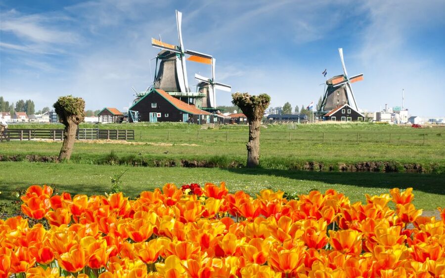 Amsterdam: Day Tour Keukenhof and Zaanse Schans Windmills - Keukenhof Gardens: How to Make the Most of Your Free Time