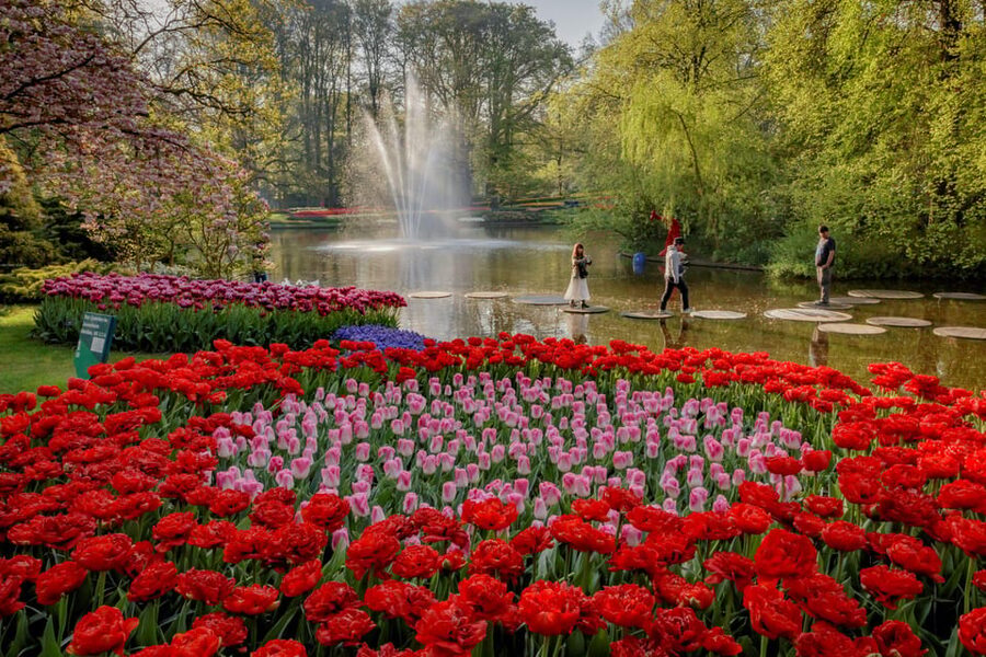 Amsterdam: Day Tour Keukenhof and Zaanse Schans Windmills - Return to Amsterdam: 30-Minute Shuttle Buses That Let You Breathe