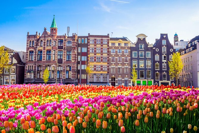 Amsterdam Day Trip from Brussels - Return to Brussels at 5:00PM: The Long Bus Ride Ends the Day