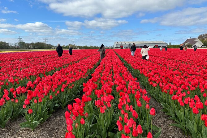 Amsterdam: Day trip to Tulip Farm, Keukenhof + Windmill Cruise - Kagerplassen Windmill Cruise: a relaxed hour through classic Dutch scenery